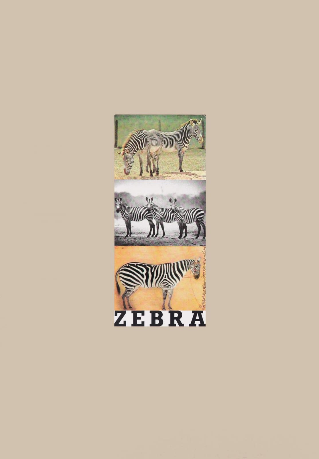 Peter Blake, Alphabet: Z for Zebra, 1991
