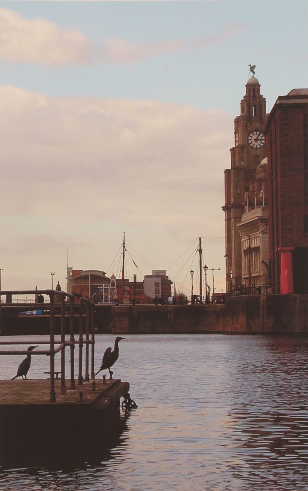 Mike McCartney, Three Liver Birds, 2011