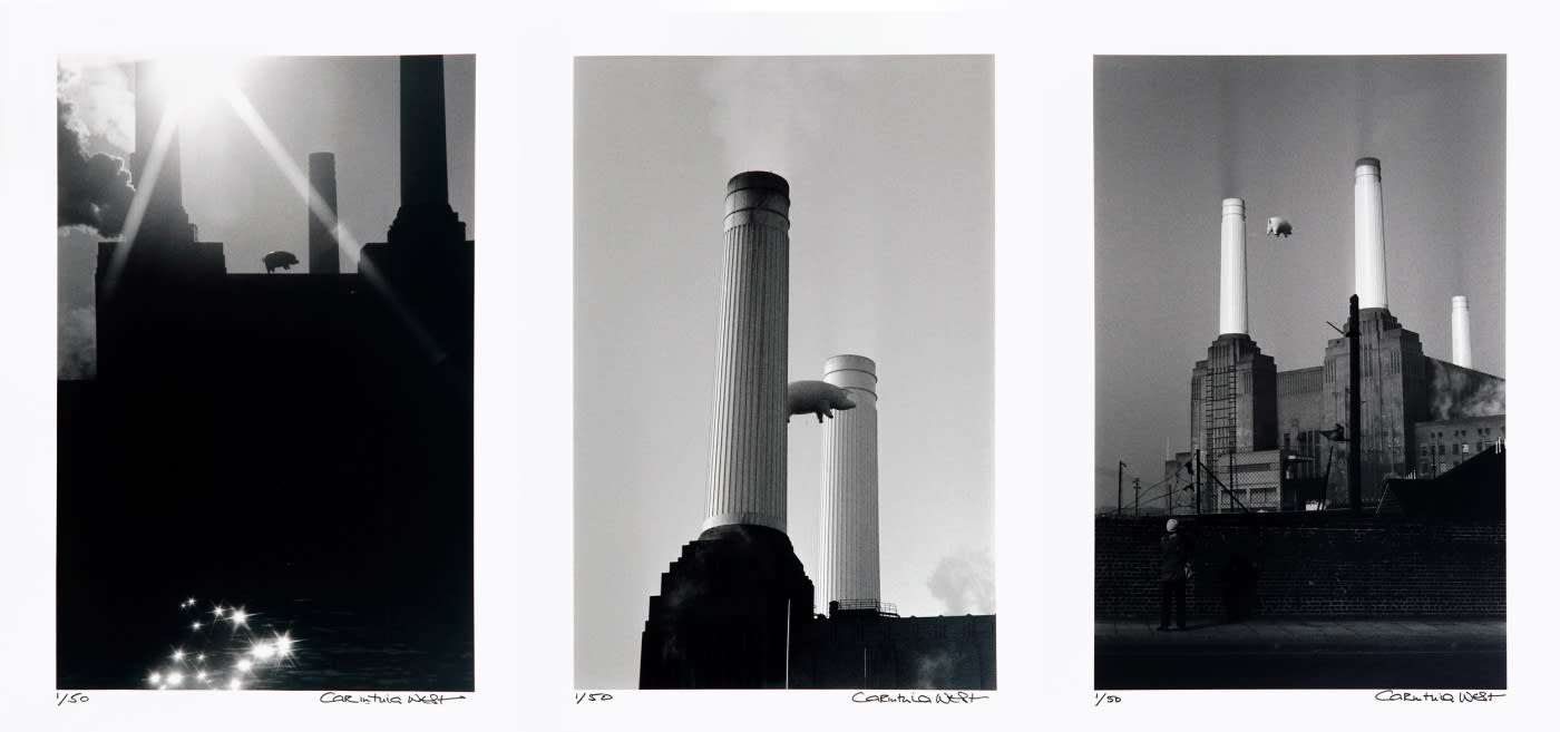 Carinthia West, Pink Pig Over Battersea set, 2017