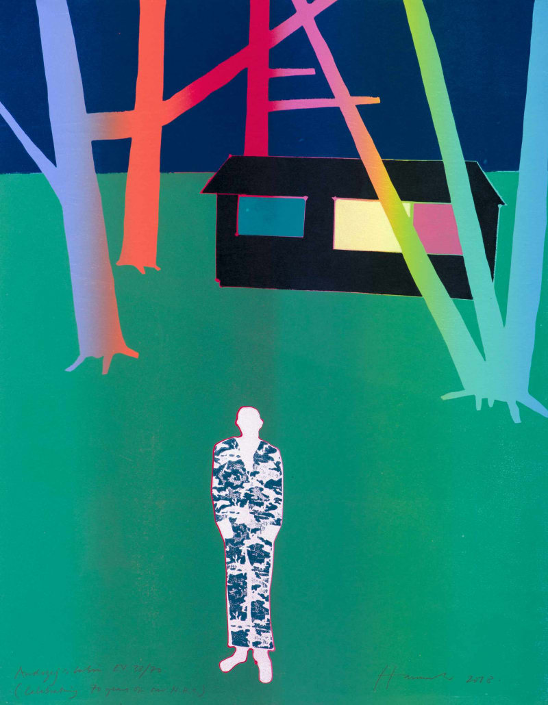 NHS 70th Anniversary Portfolio, Andrzej's Cabin by Tom Hammick, 2018
