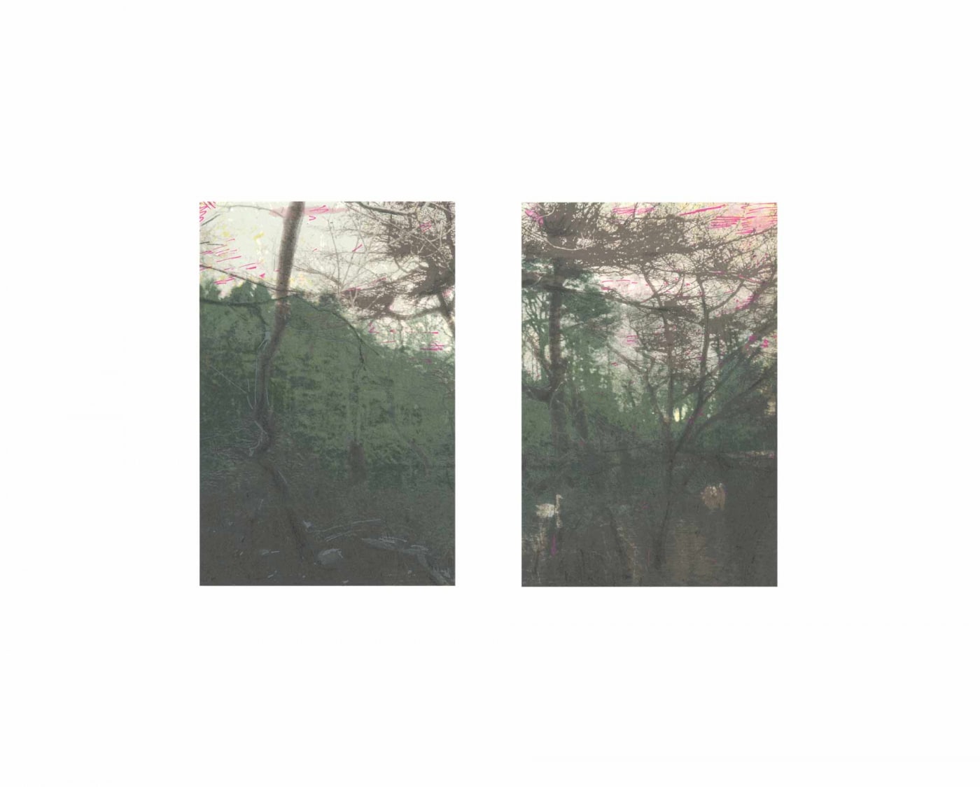 NHS 70th Anniversary Portfolio, In Two Parts by Elizabeth Magill, 2018