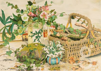 Rosalind Forster, Snowdrops Winter