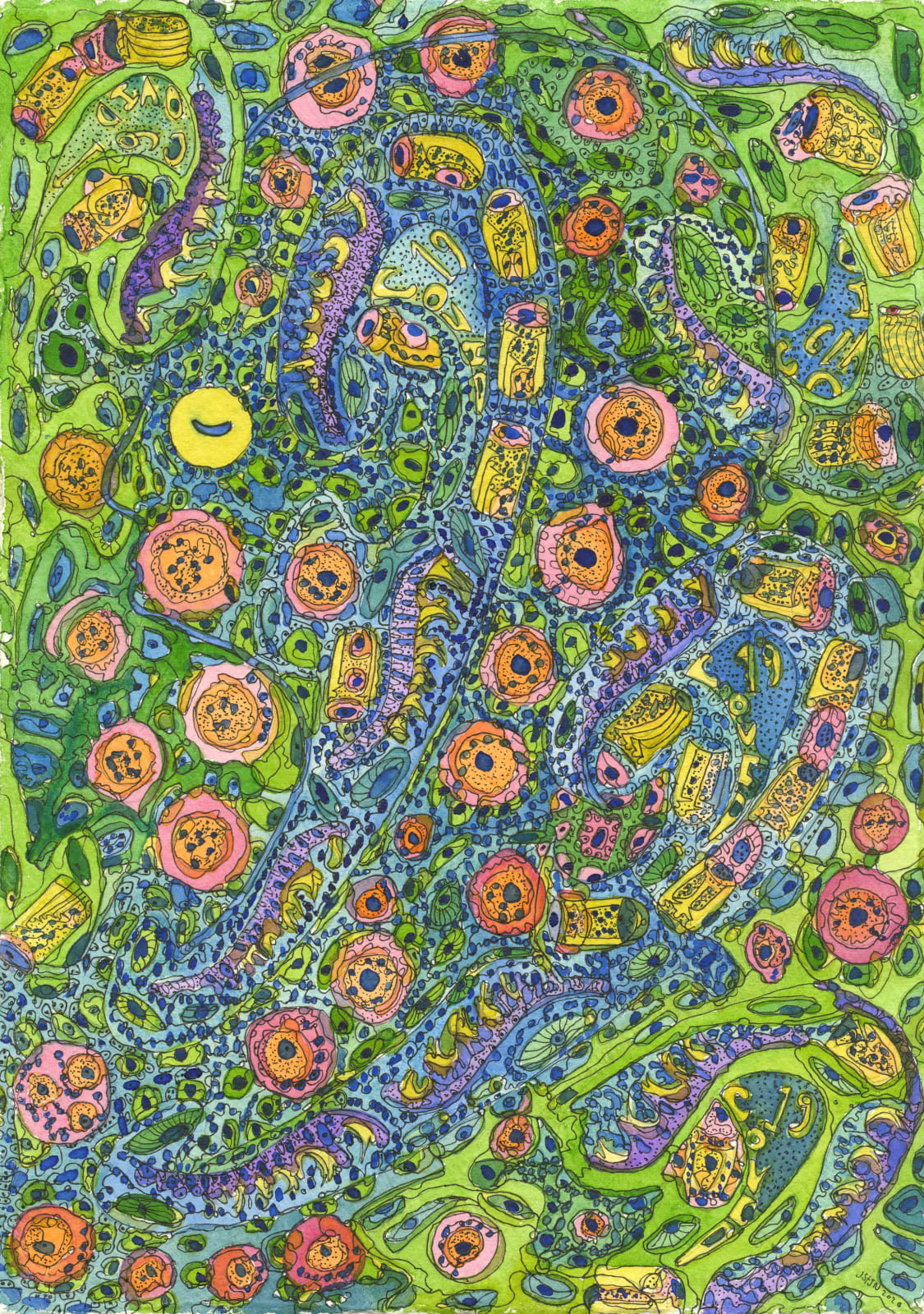 Juliet St John Nicolle, The Spread of Covid Cells