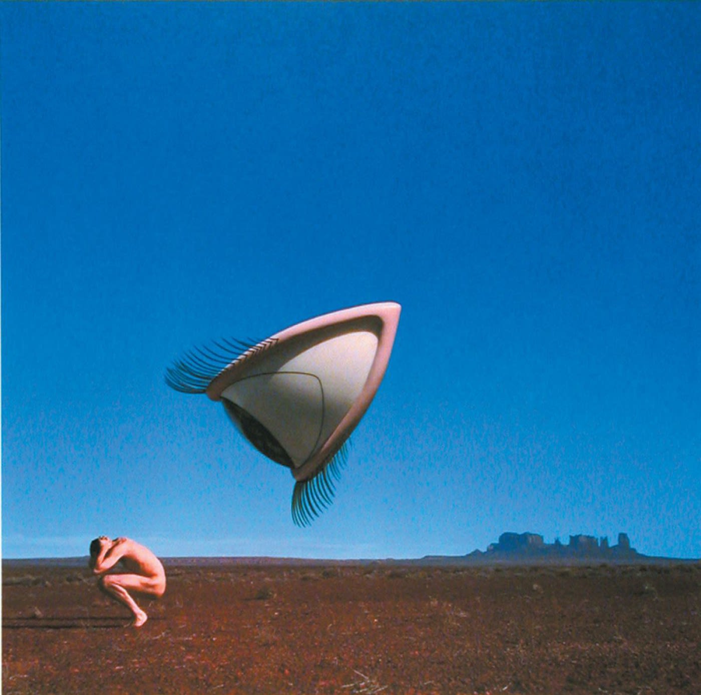 Storm Thorgerson, Bury the Hatchet, 2003