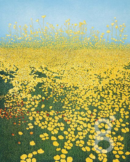 Phil Greenwood, Buttercup Ridge