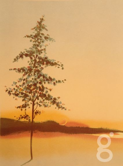 Thomas Kruger, Tree at Sunset