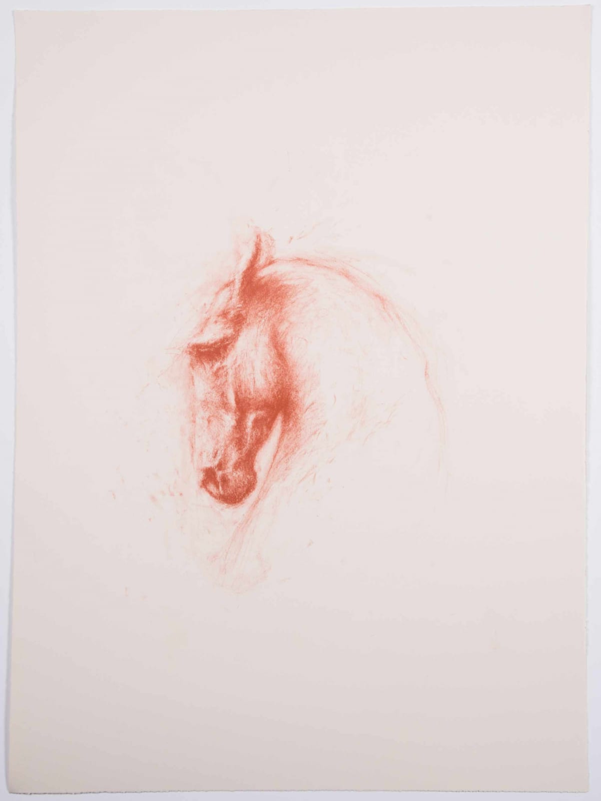 Nic Fiddian-Green, Red Horse's Head
