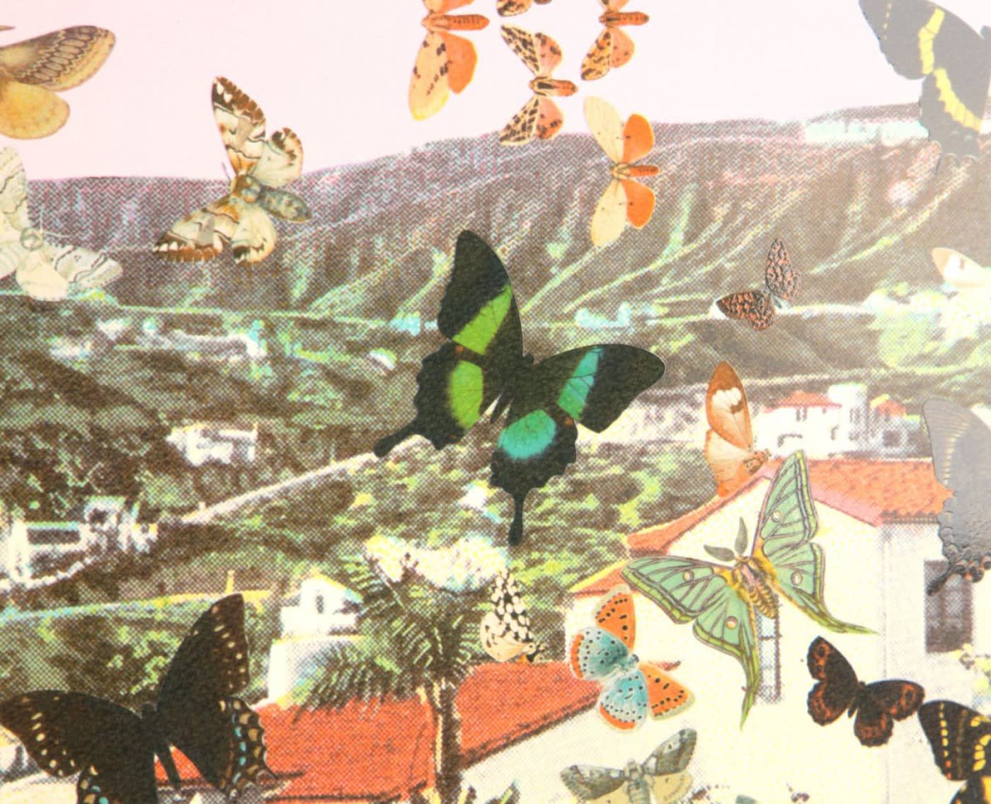Peter Blake, Homage to Damien Hirst: Butterfly Man in Hollywoodland, 2011