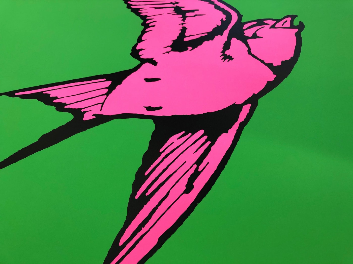 Dan Baldwin, Love and Light Green and Pink, 2019