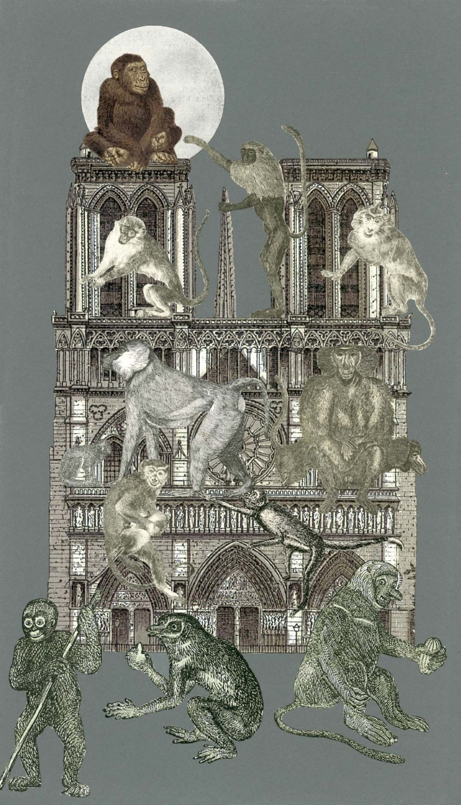 Peter Blake, Paris: Monkeys, 2011