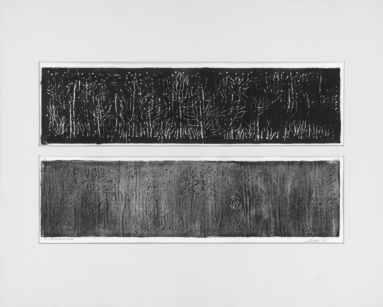 Michel Goldberg, Sur le Printemps de Floride, 2009