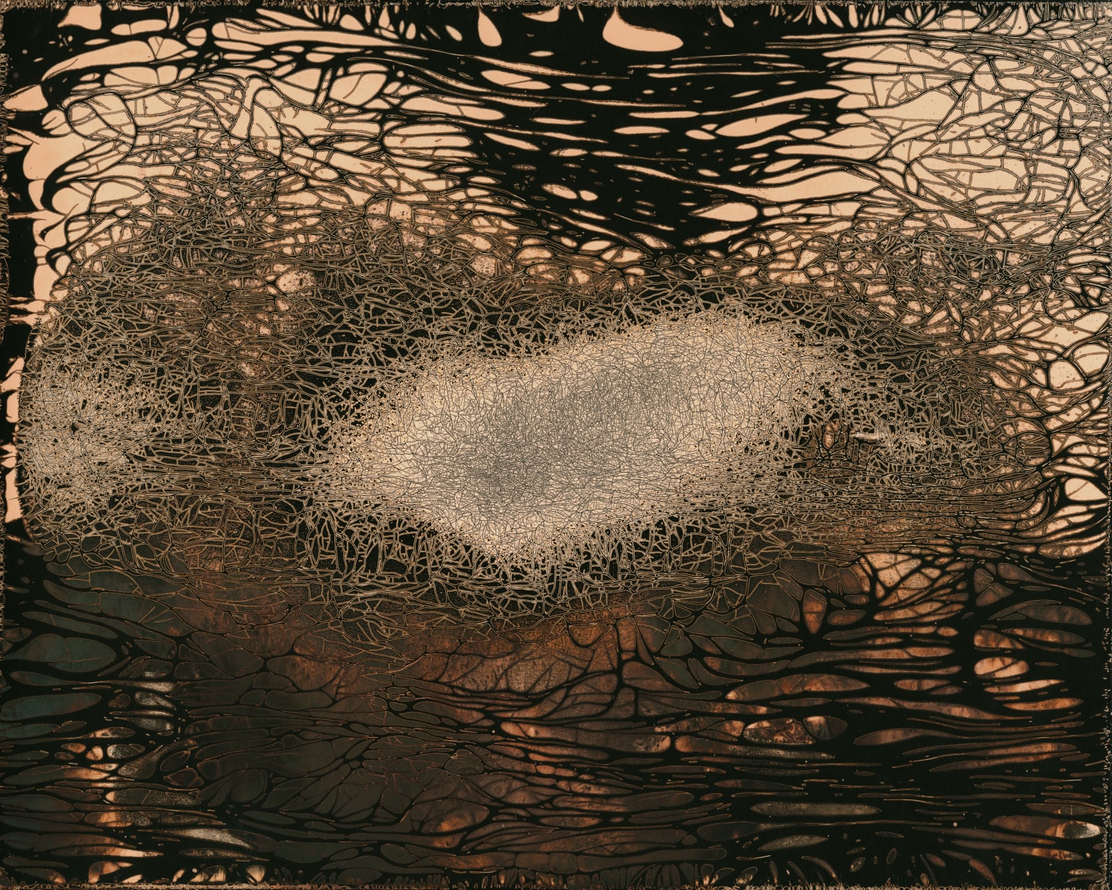 Nolan Preece, Flora #1, 2015