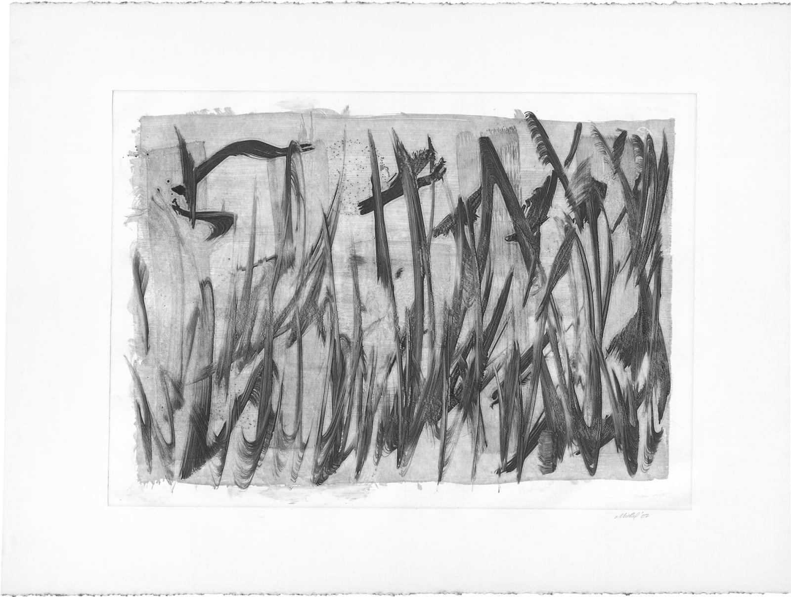 Michel Goldberg, Mariscus, 2007