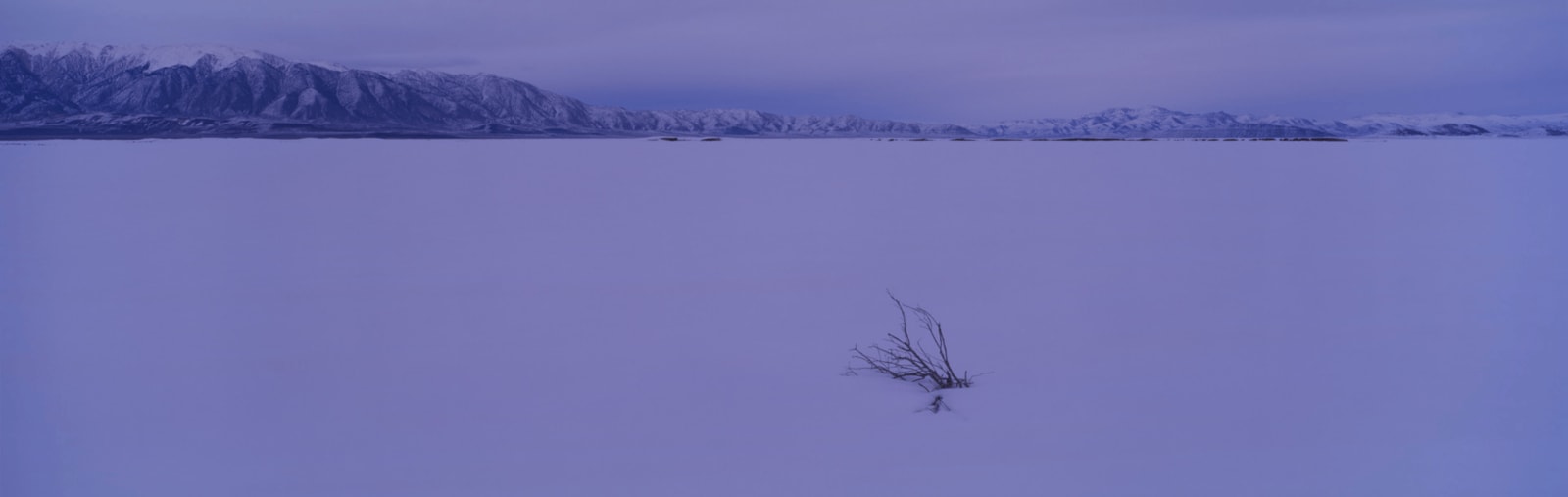 Lee Saloutos, Snow, Smoke Creek Desert, NV #6 , 2008