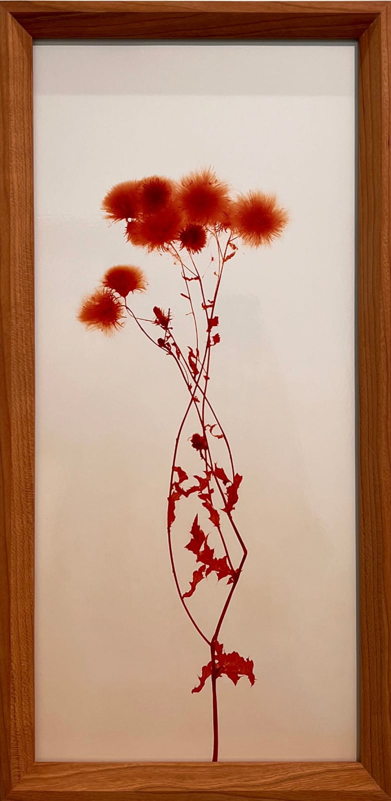 Lovisa Ringborg, Fall Flower I, 2023