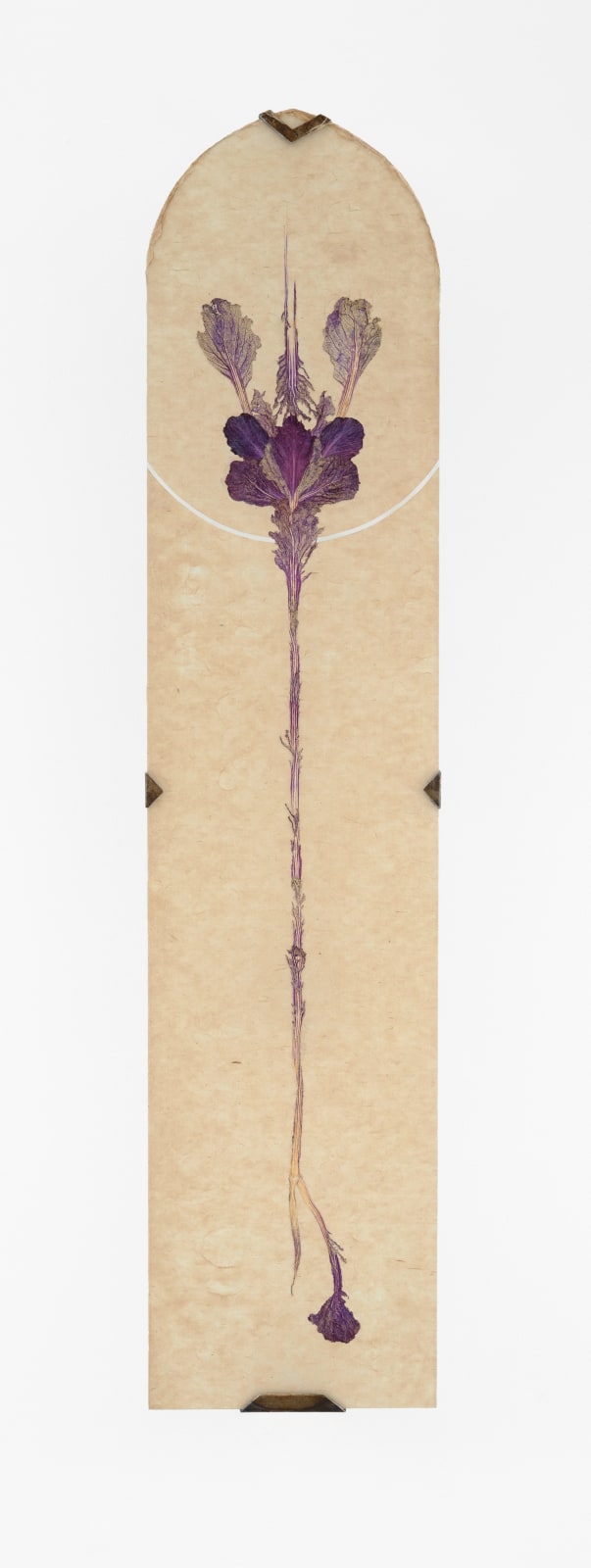 Dit-Cilinn, Meridian, 2023