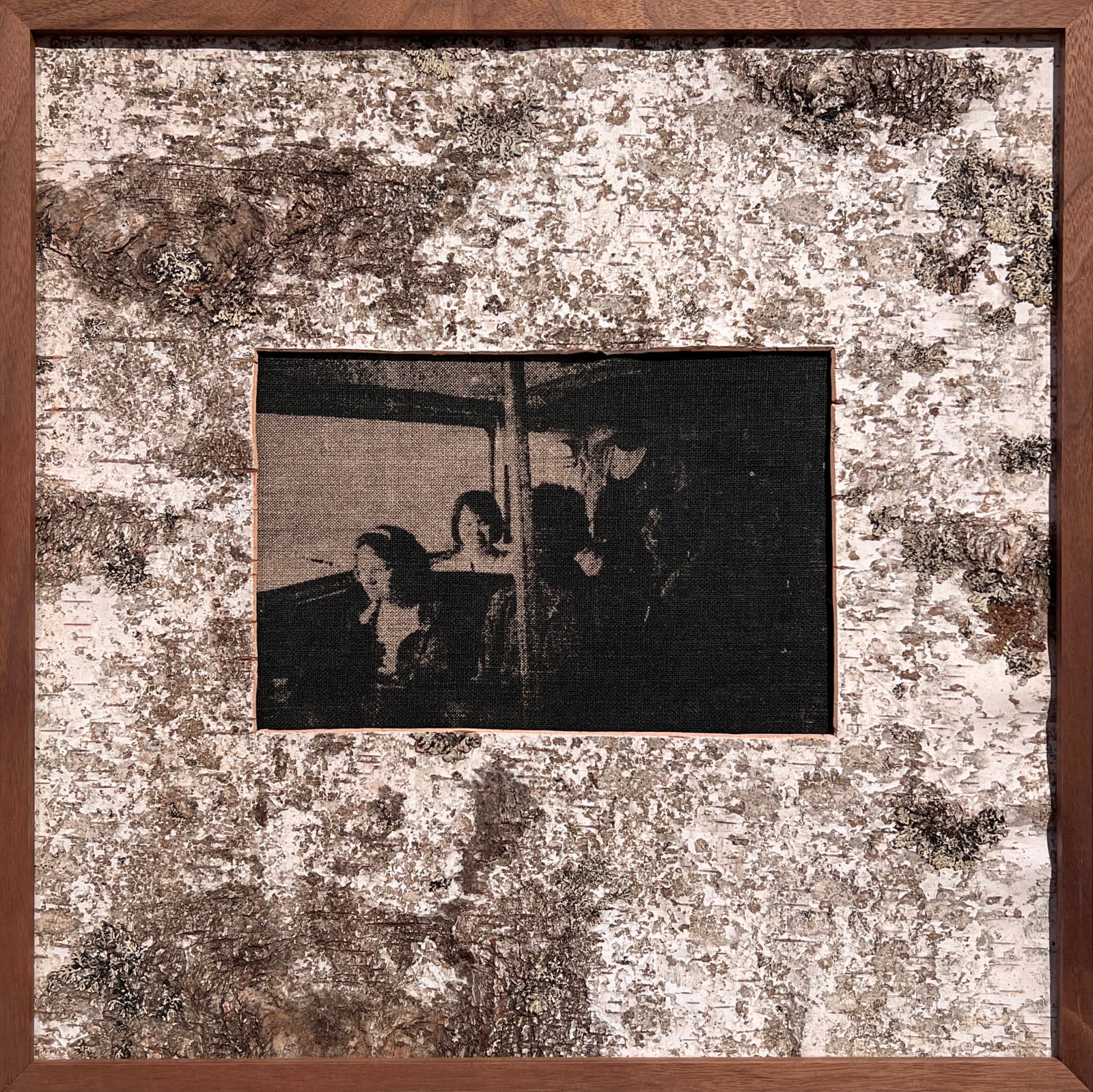 Salad Hilowle, Untitled (Näver), 2023