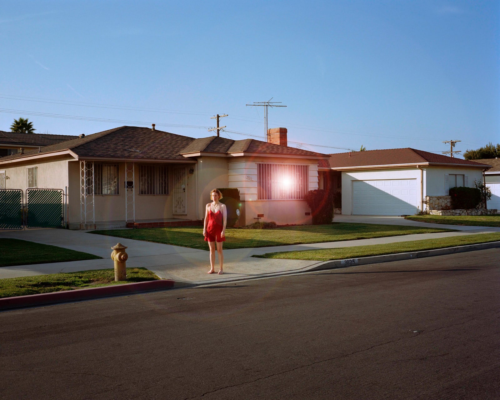 Tova Mozard, Channeling Elizabeth Short, 2020