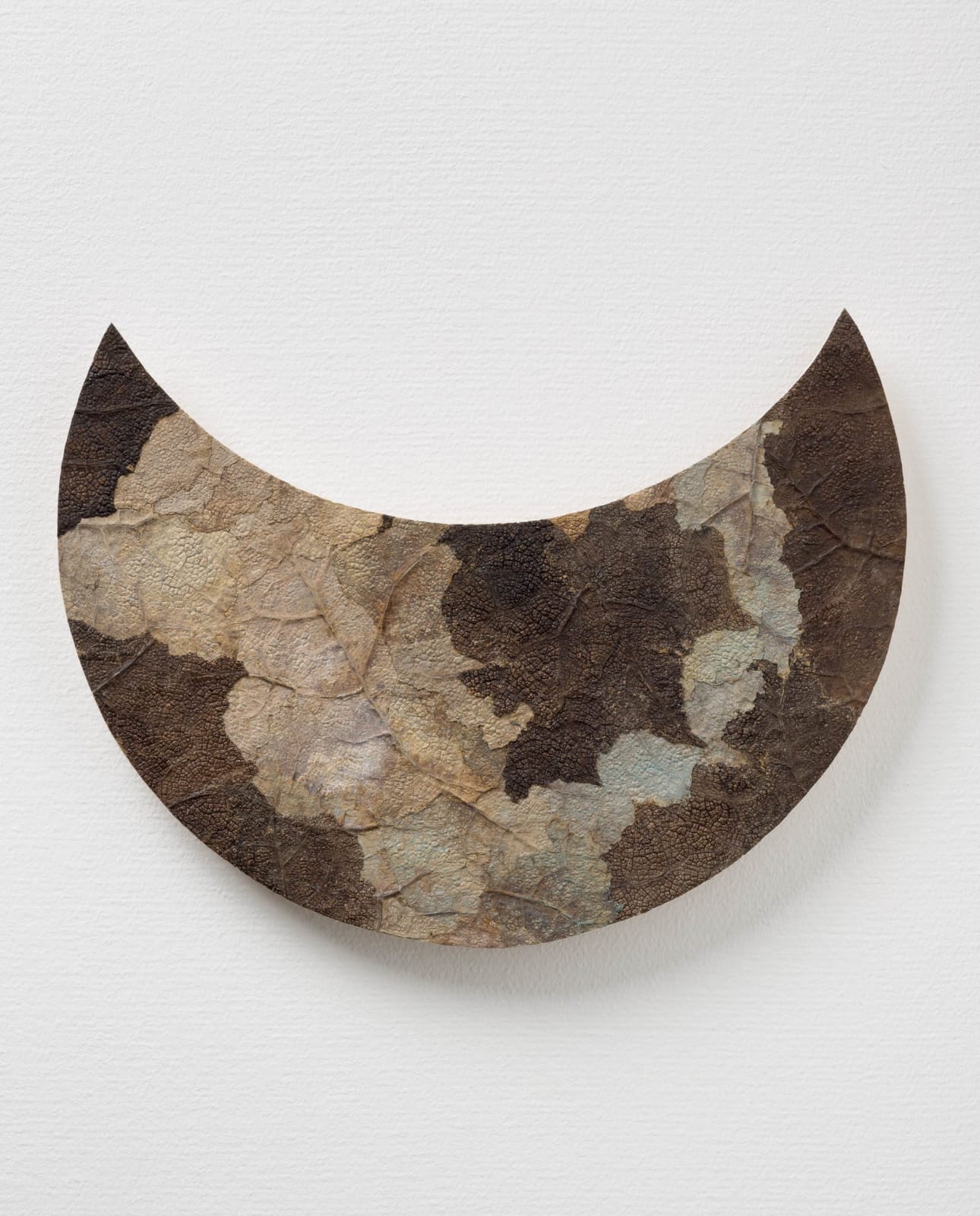 Dit-Cilinn, -9595, 2014