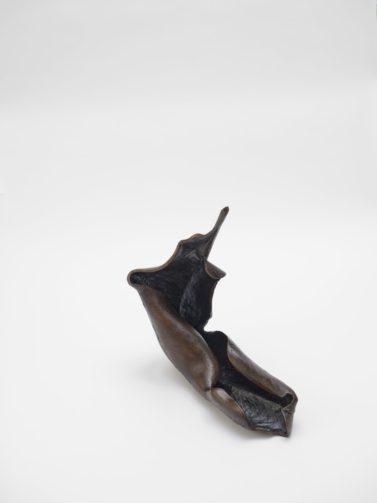 Carl Boutard, Degrowth no. 2, 2025