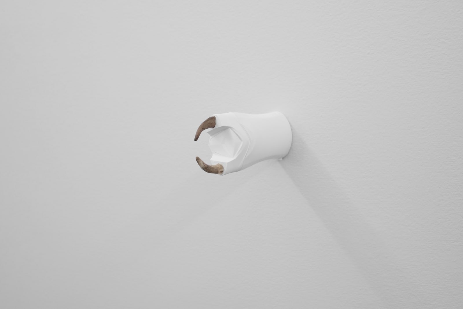 Ohlsson/Dit-Cilinn, (:) Cornibus, 2017