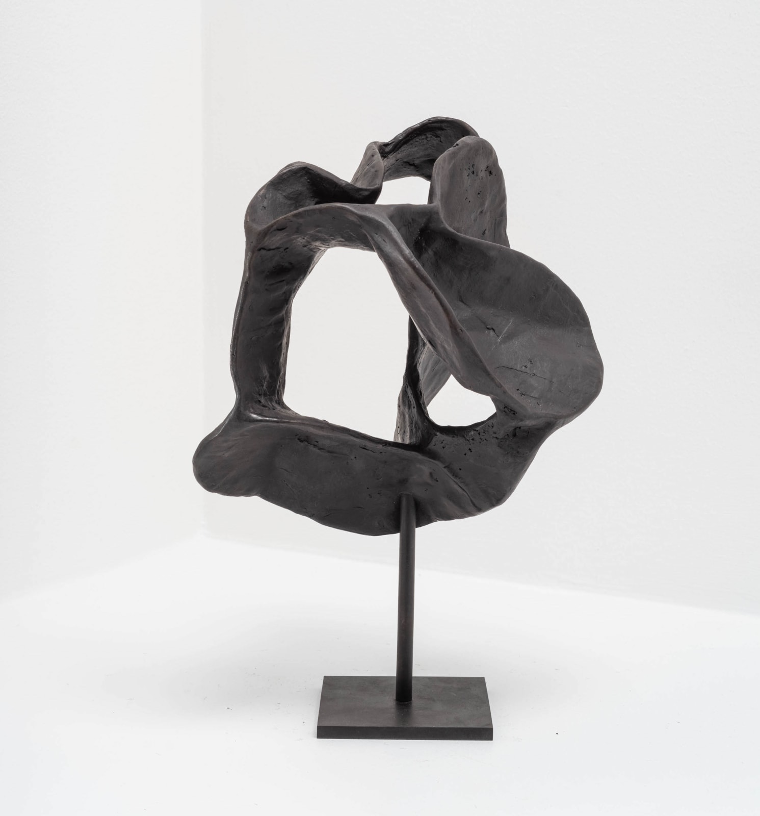 Carl Boutard, Elevated Hearing, 2020