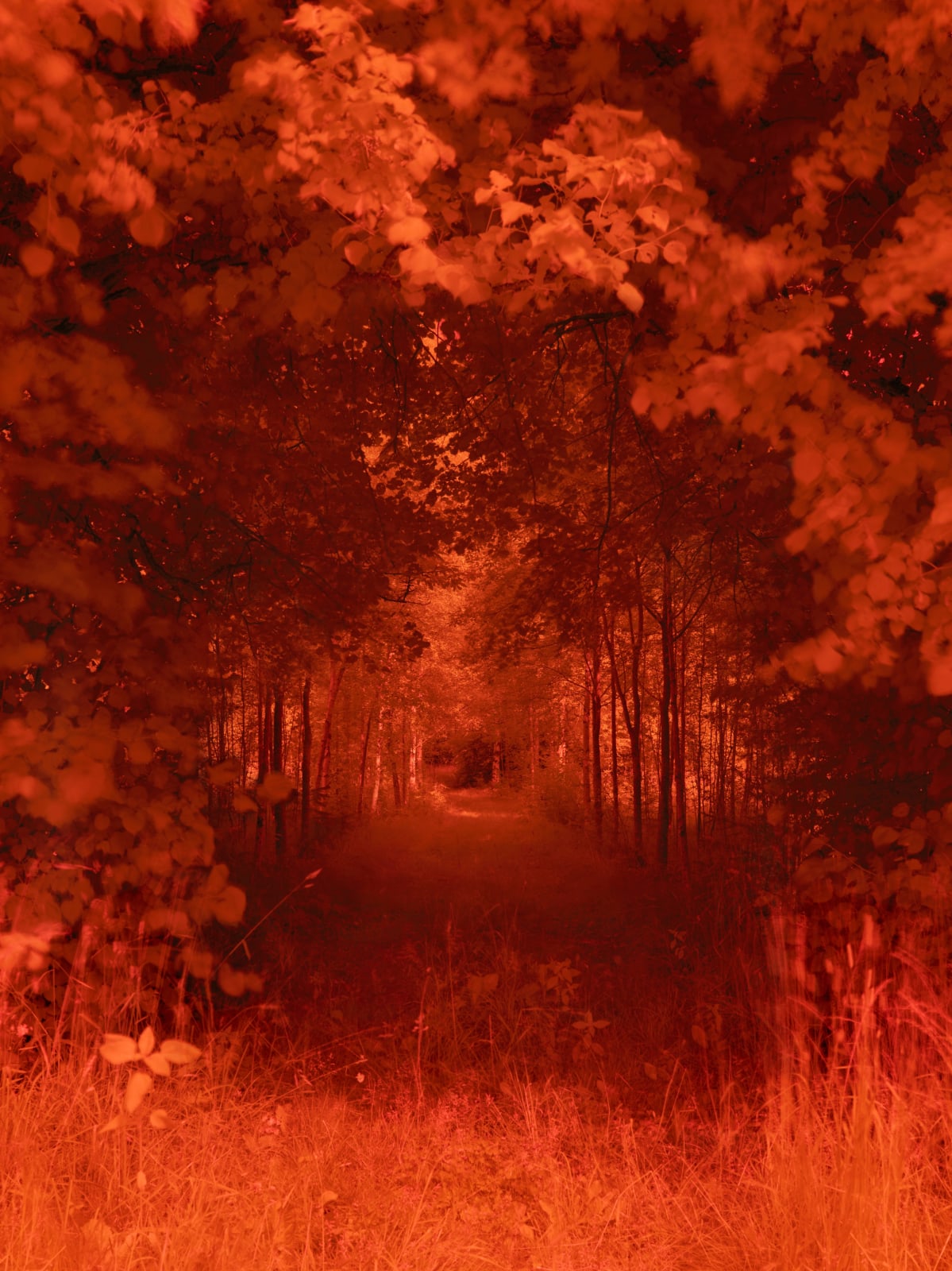 Lovisa Ringborg, Pelarsalen, 2022