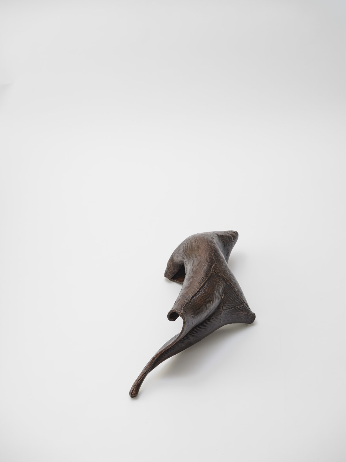 Carl Boutard, Degrowth no. 1, 2025