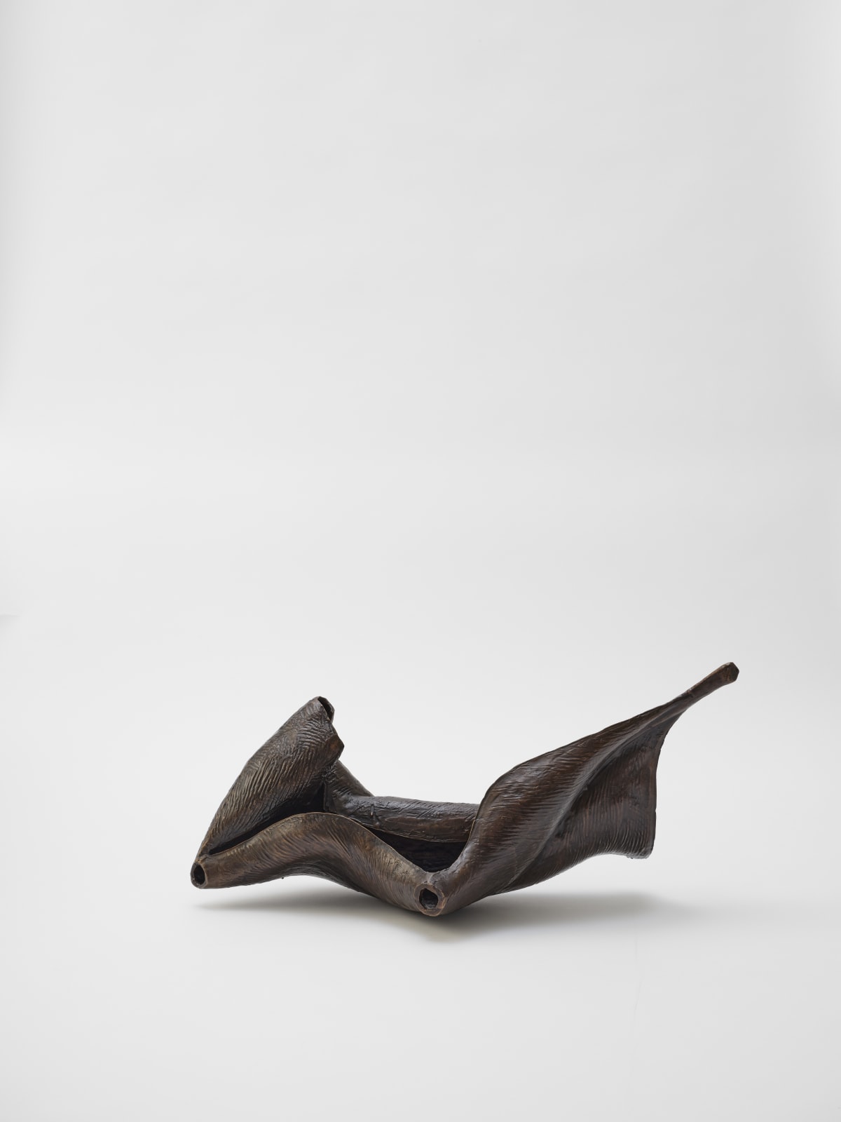 Carl Boutard, Degrowth no. 1, 2025
