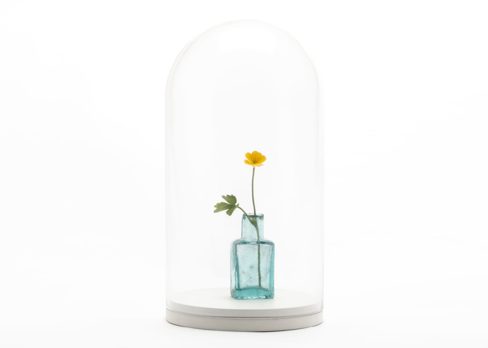 Annette Marie Townsend, The Collector 1