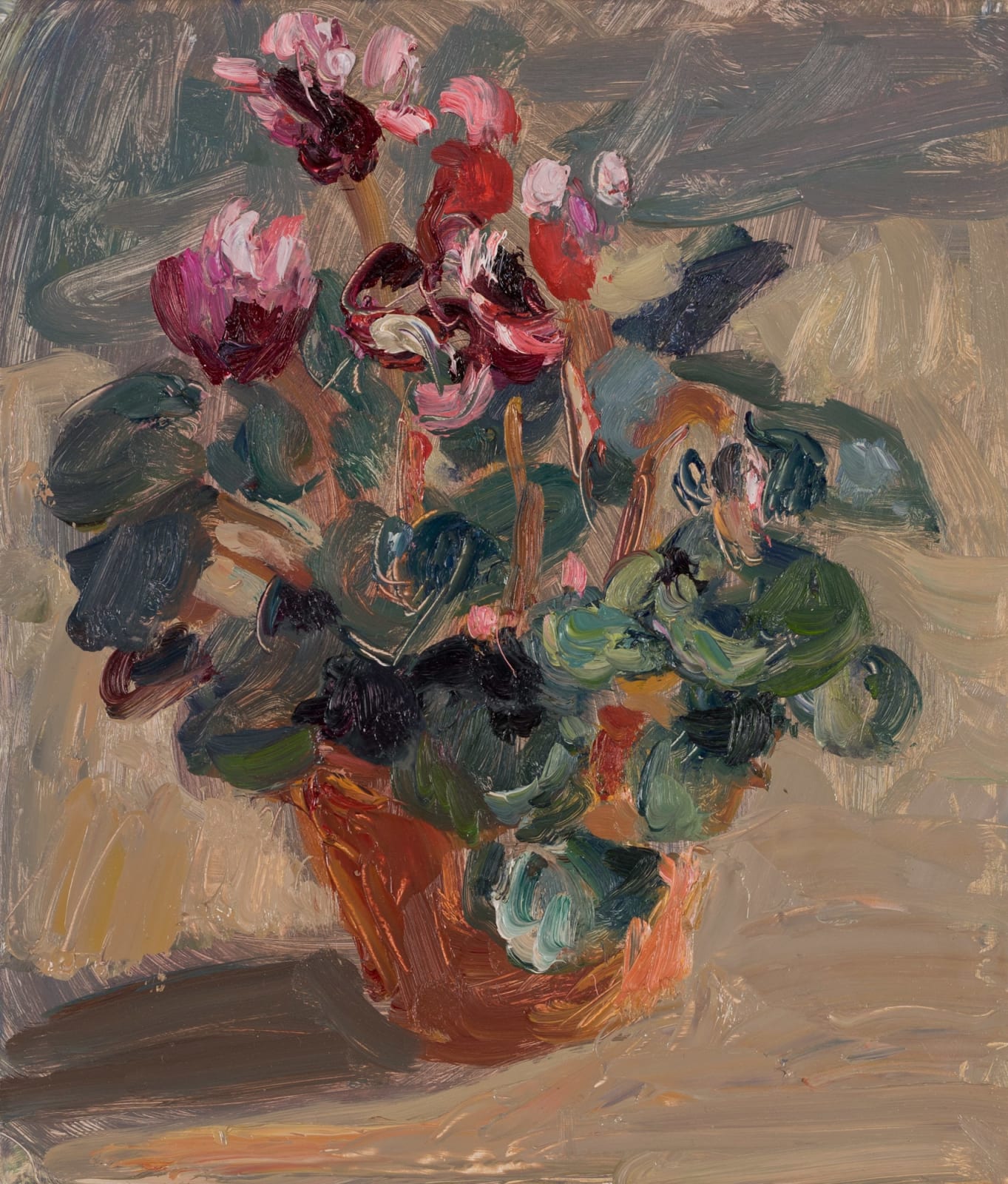 Lynne Cartlidge, Cyclamen, 2025