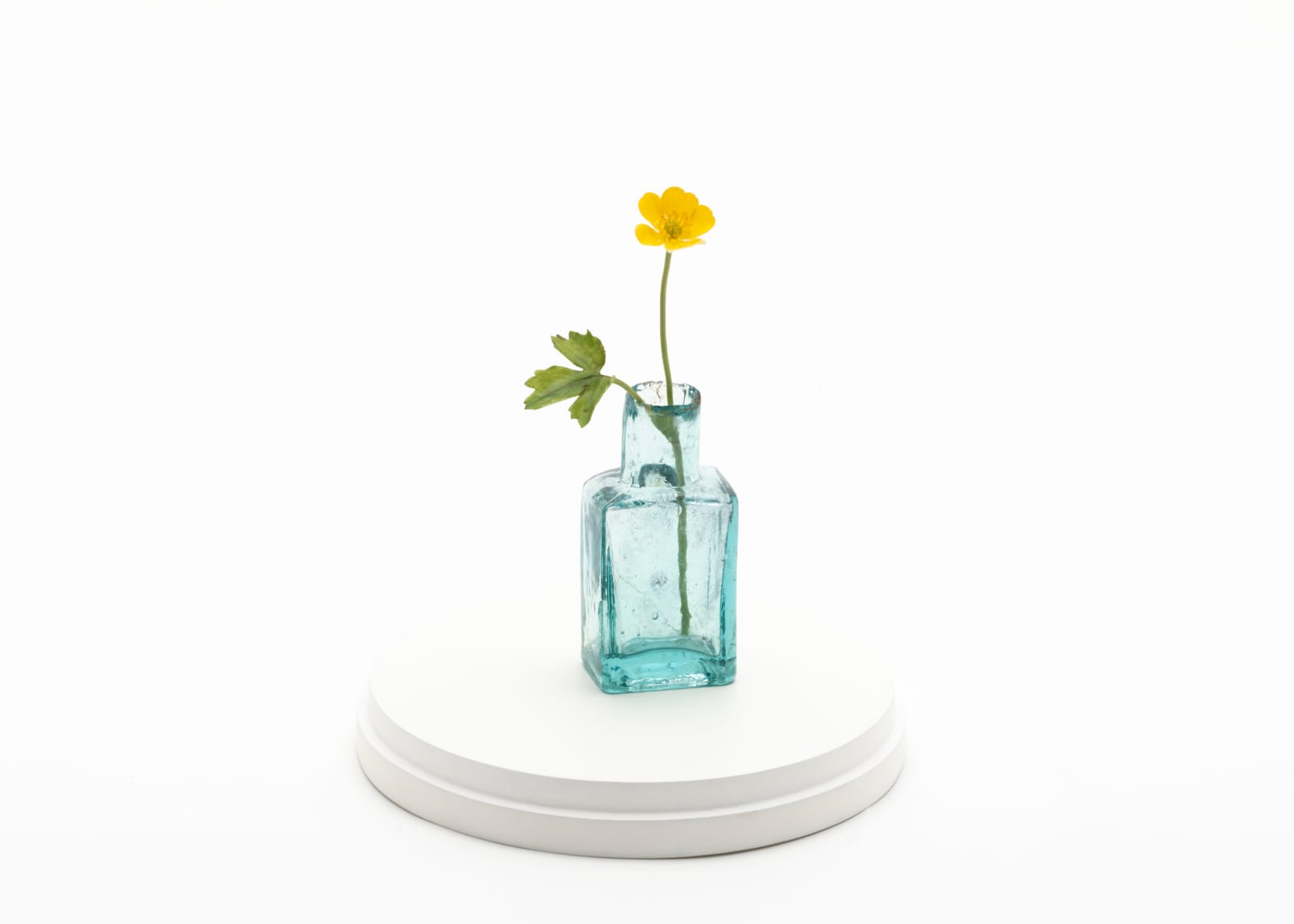 Annette Marie Townsend, The Collector 1