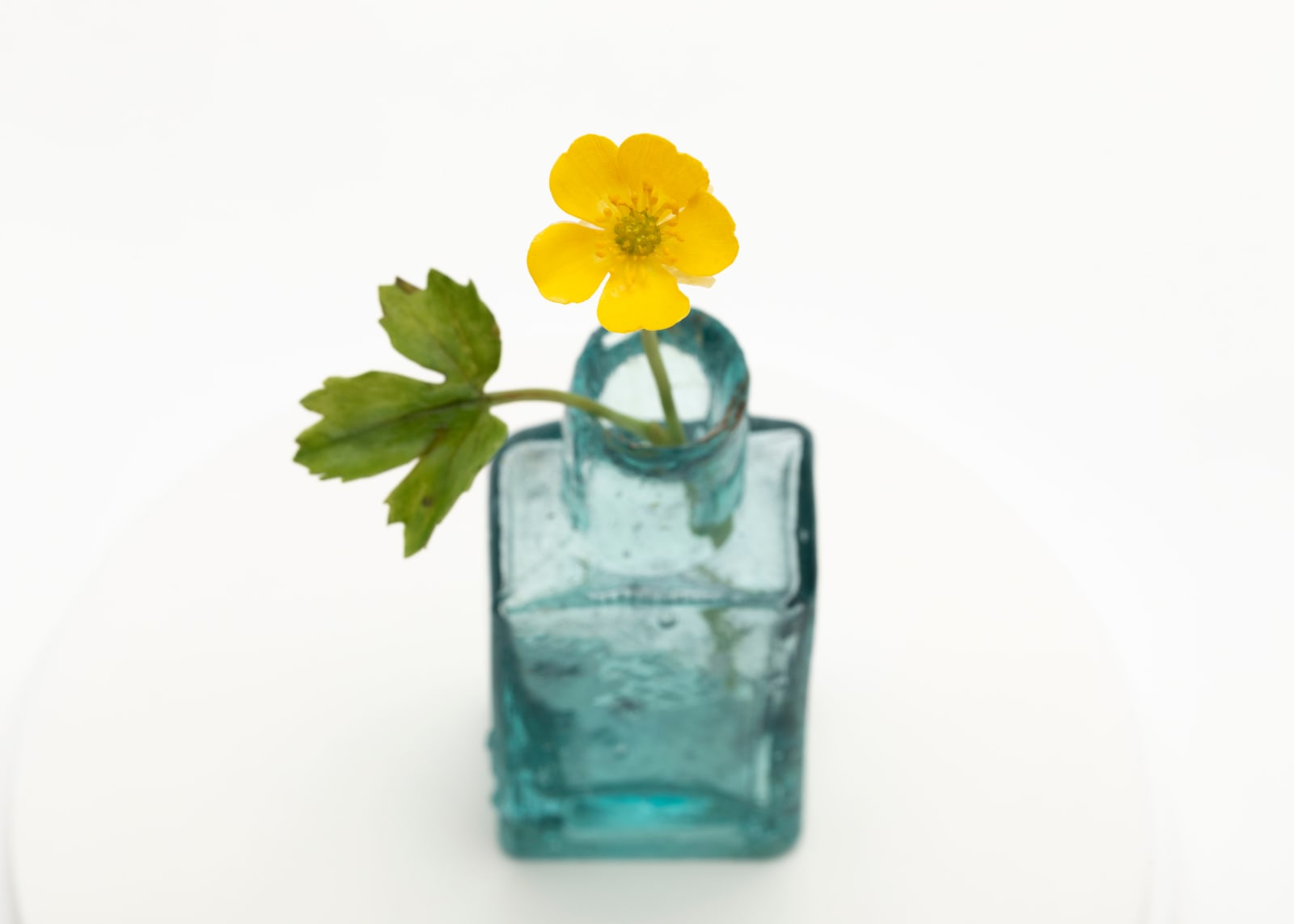 Annette Marie Townsend, The Collector 1