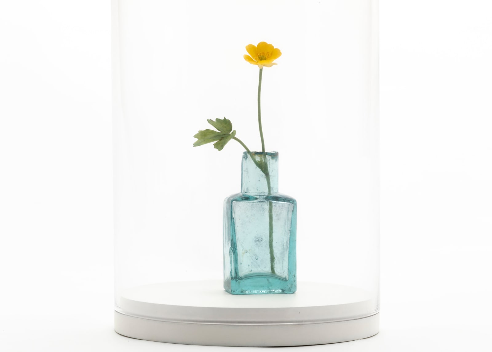 Annette Marie Townsend, The Collector 1