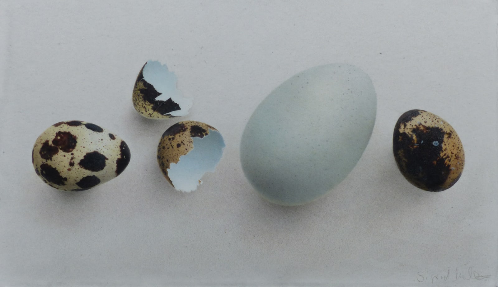 Sigrid Muller, Rolling Eggs, 2024