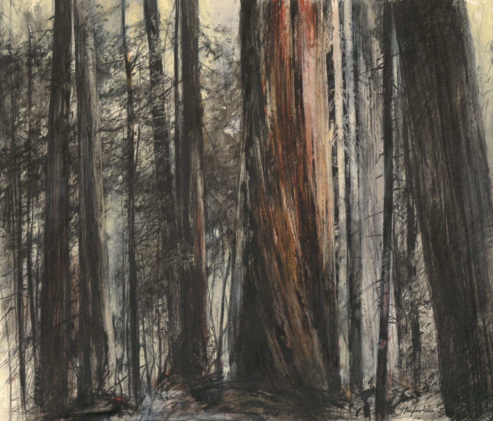 John Macfarlane, The Giants, California, 2025