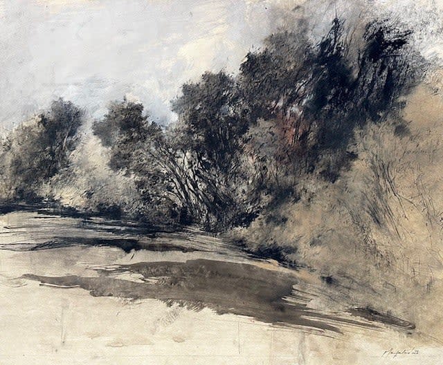 John Macfarlane, Trees and Shadows, Walnut Creek, 2025