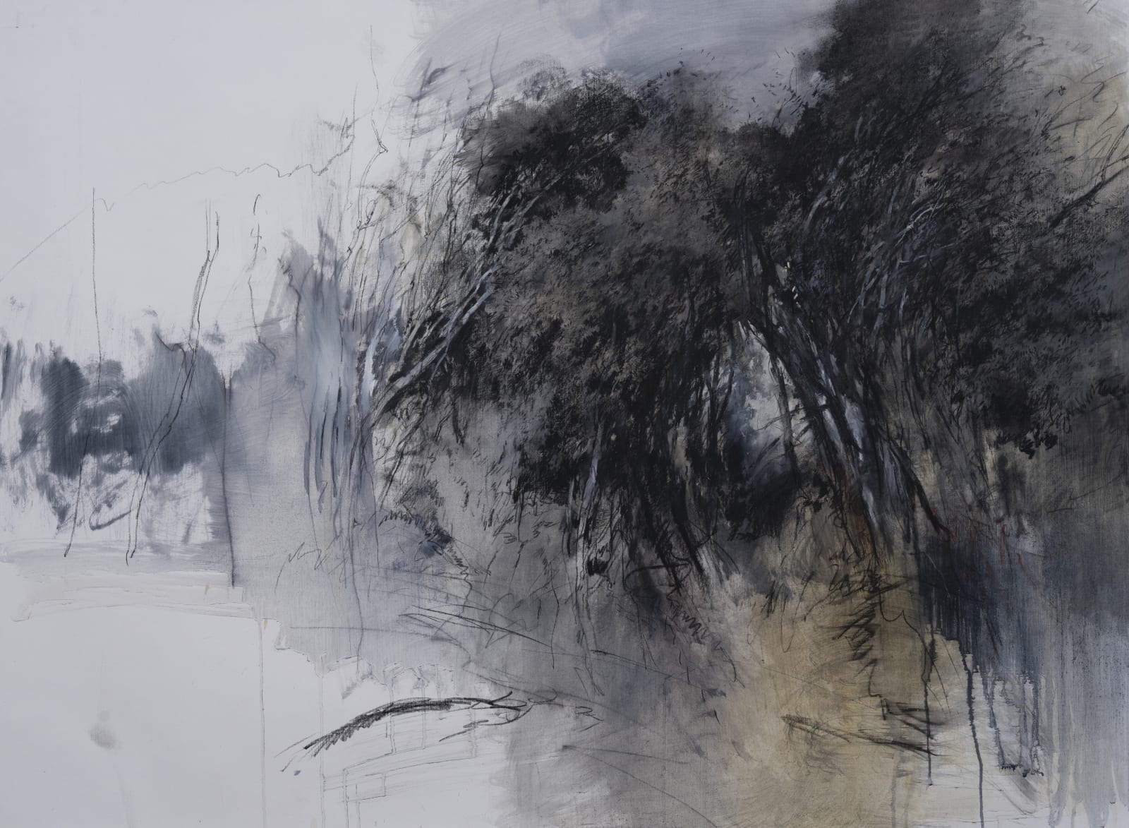 John Macfarlane, Trees, Walnut Creek, 2024