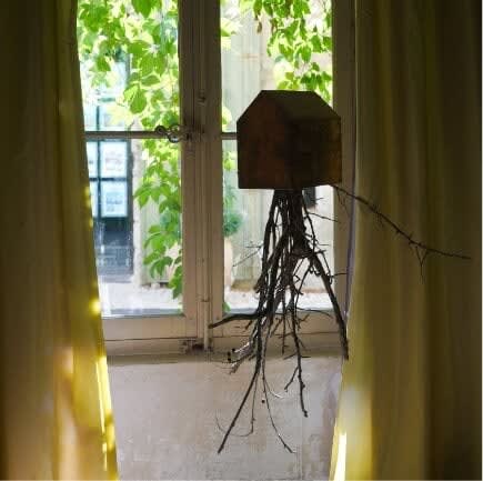 Julia Pallone, La maison enracinée, 2020