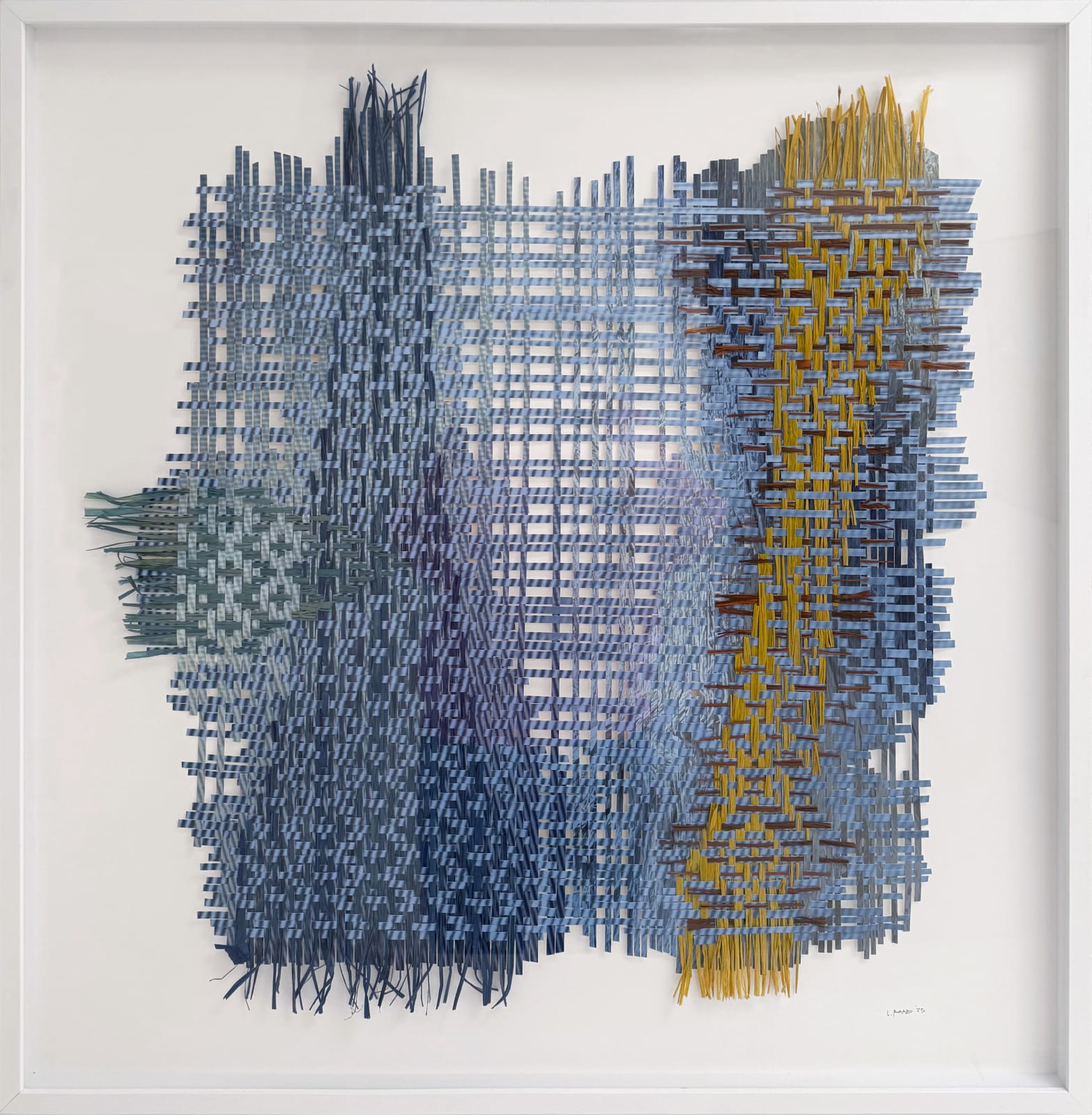 Libby Raab, Evolving Identity, 2025