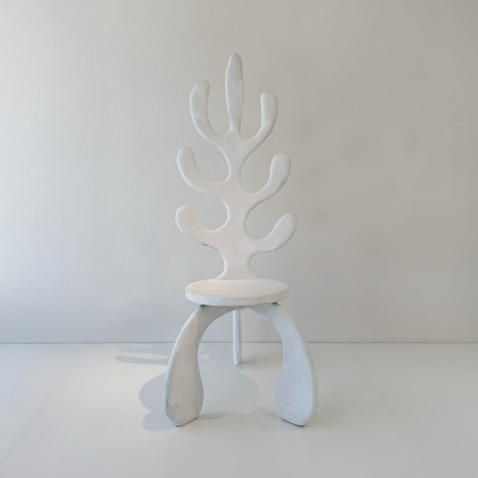 Joe Koppal, Untitled (After Matisse), 2024