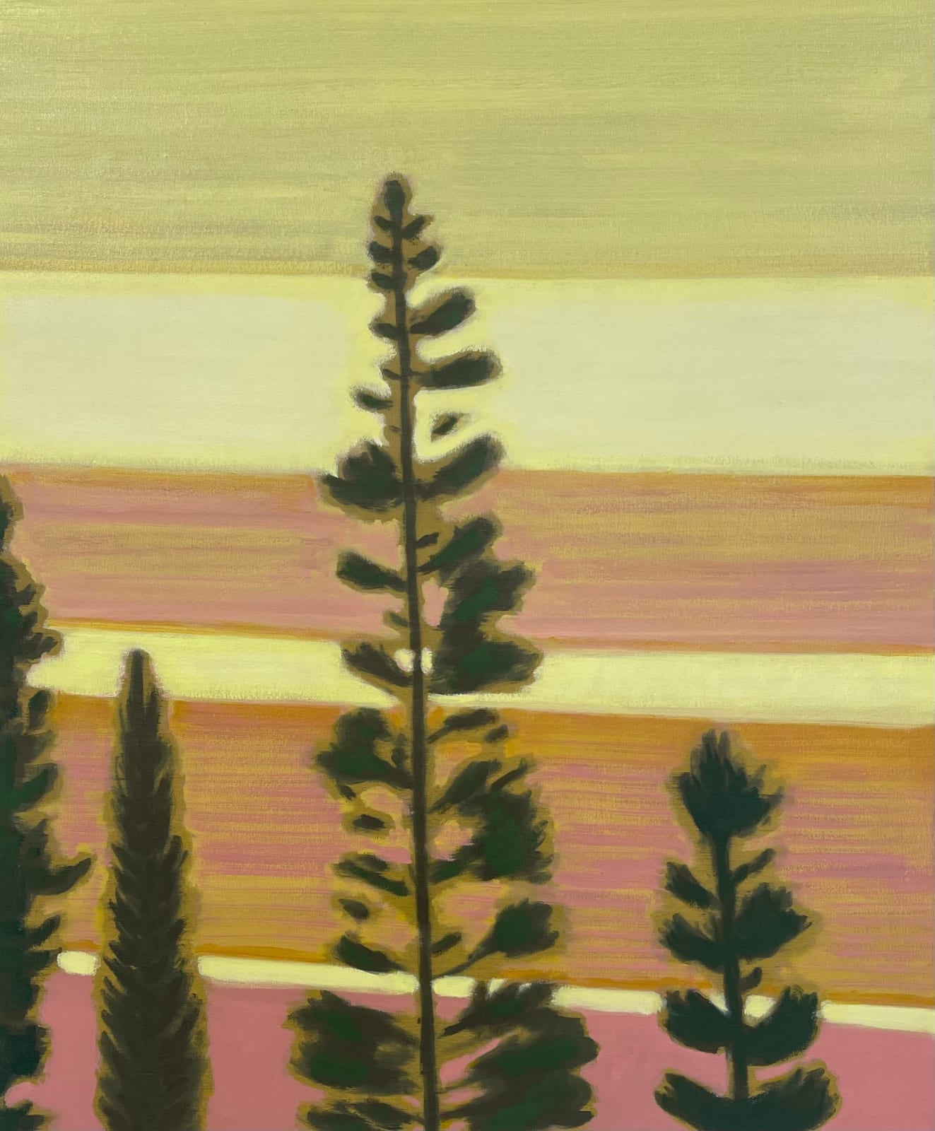 Mike Piggott, Pink and Yellow, 2016 - 2025
