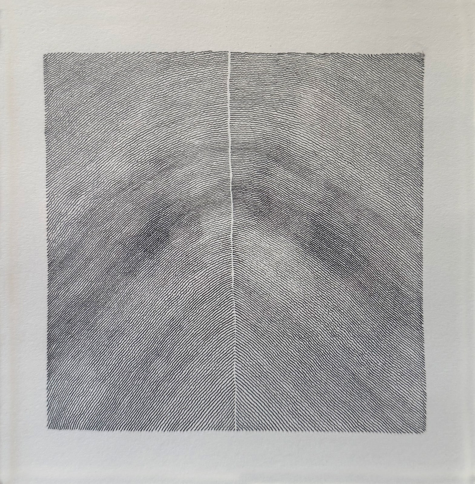 Chris Whitefield, Untitled, 2019