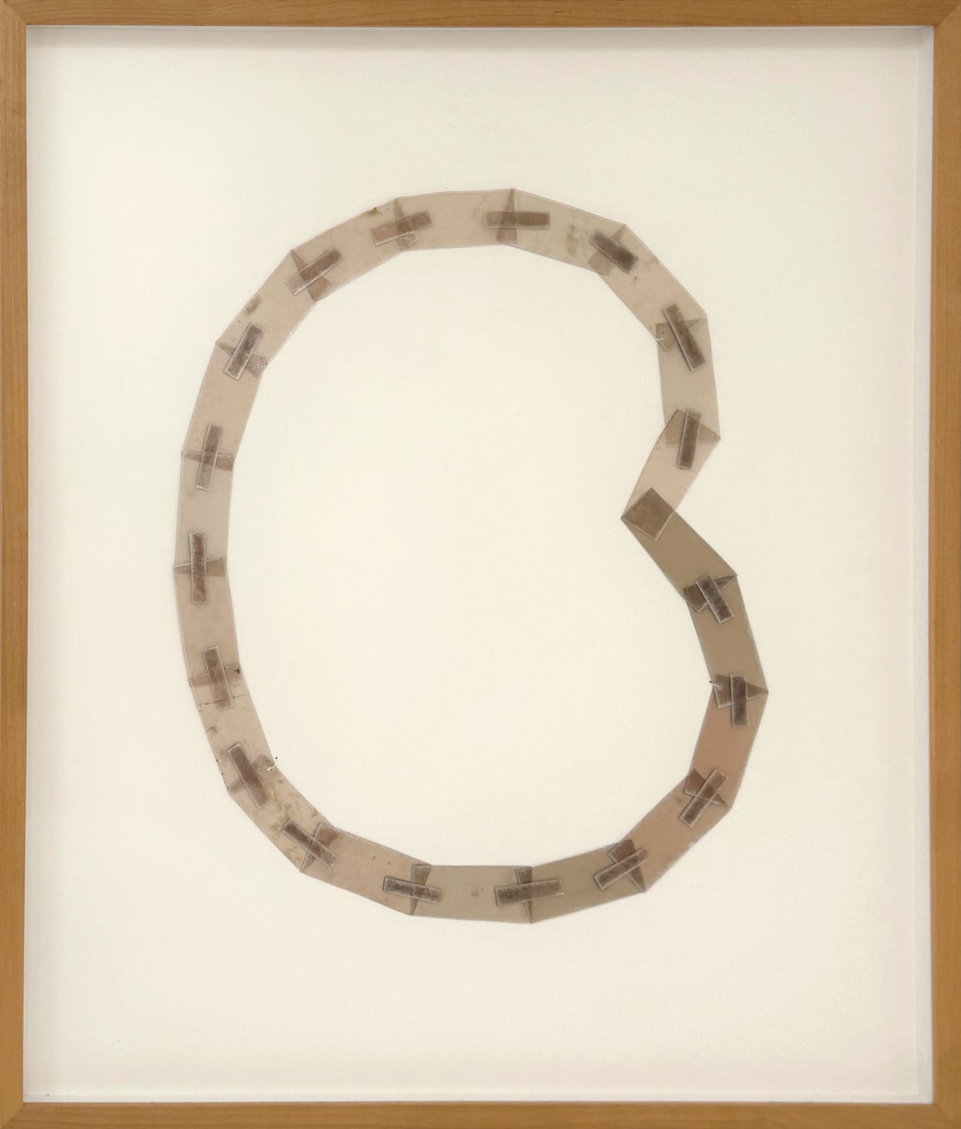 Mari Andrews, Kidney, 2016
