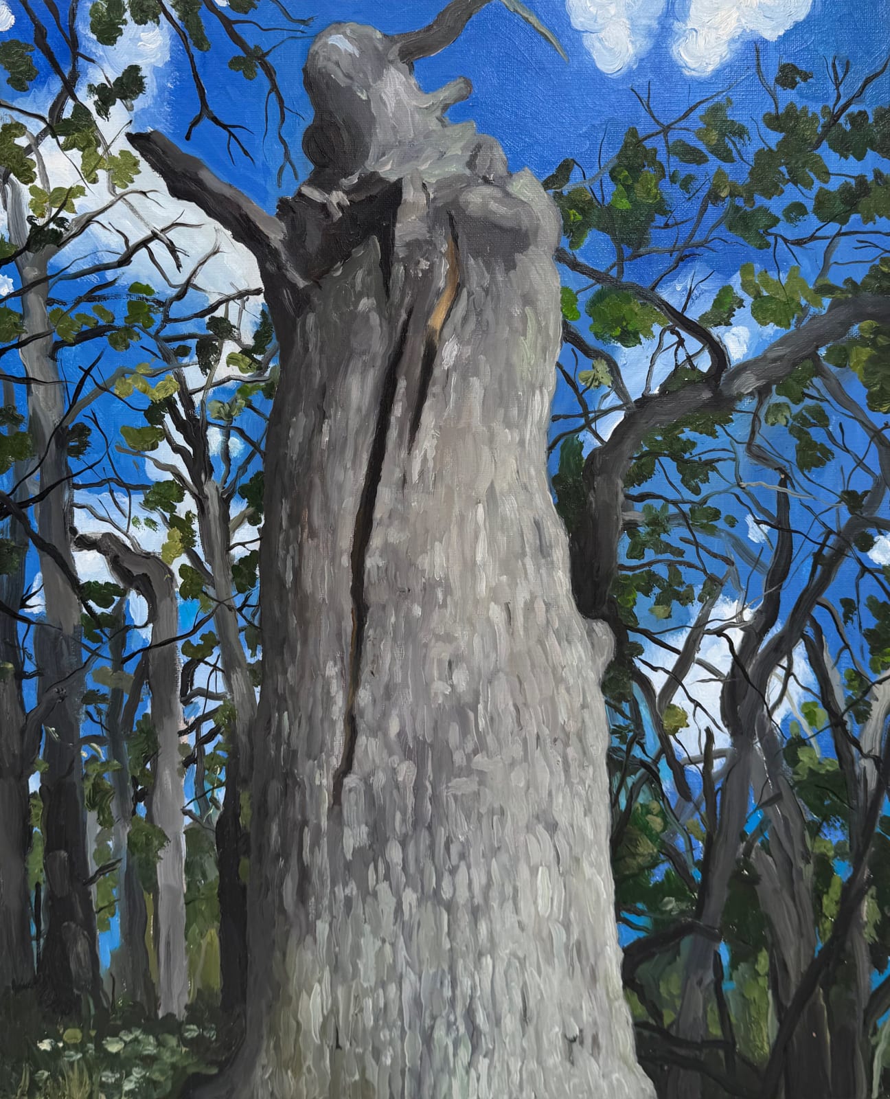 Greta Waller, Untitled (Oregon Stump), 2025