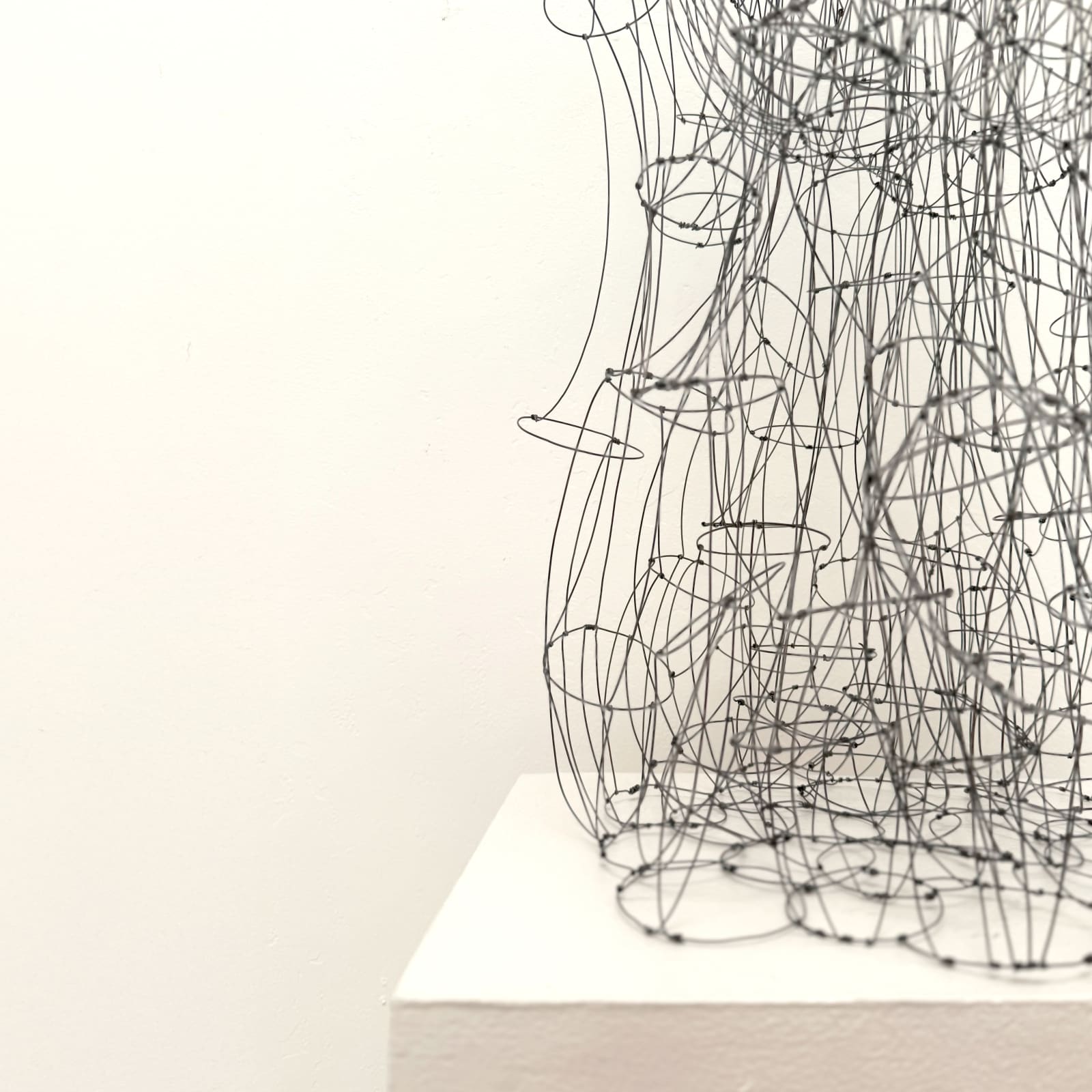 Dyan Garza, Untitled, 2025