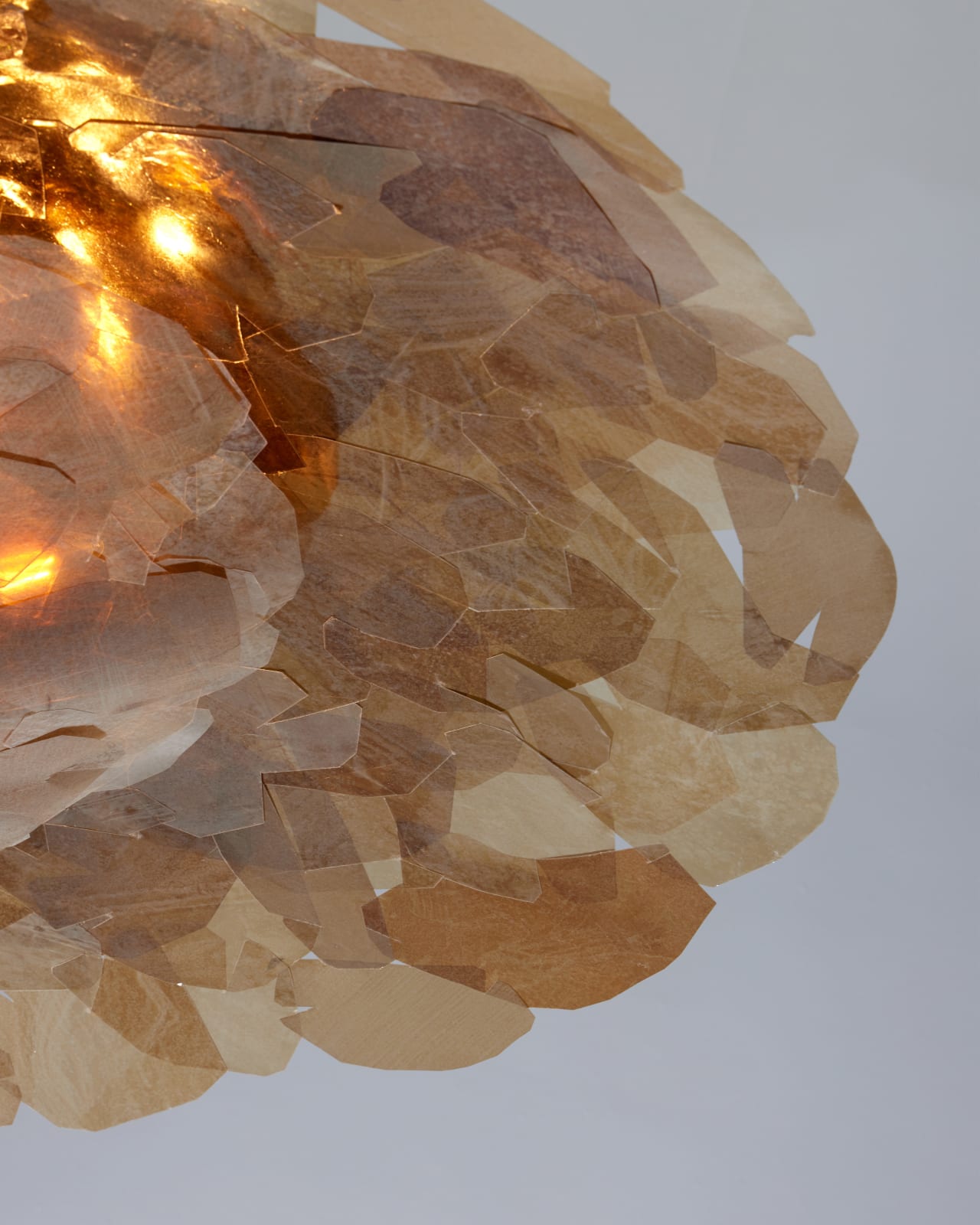 Jean-Gabriel Neukomm, Nephelepsis, 2025