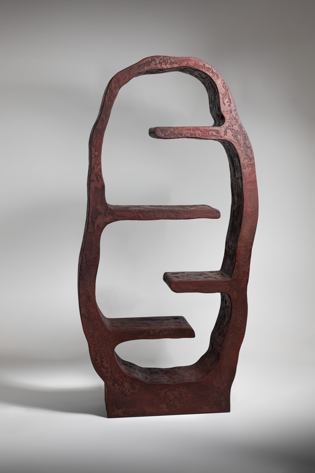 Pierre Bonnefille, Bibliothèque Rhizome - Cuprite, 2021