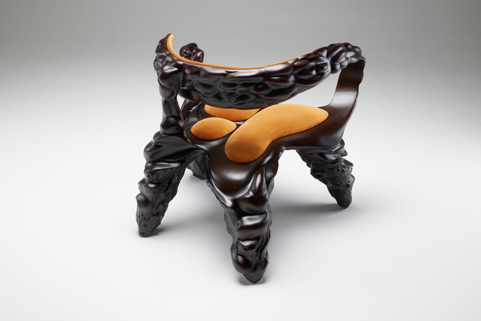 Jan Waterston, Strata Chair, 2025