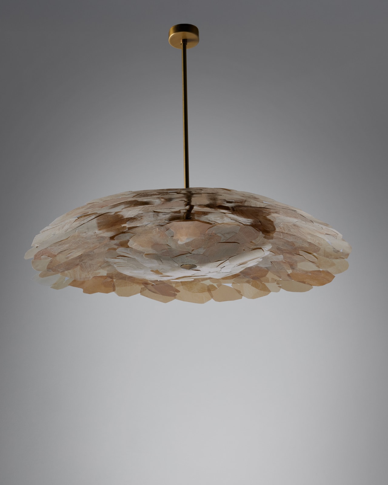 Jean-Gabriel Neukomm, Nephelepsis, Salon, 2025